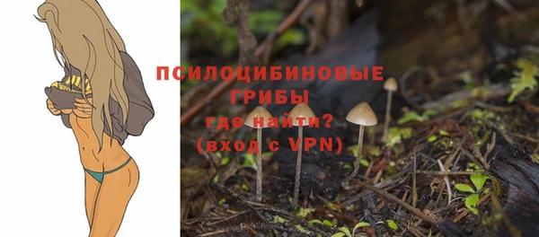 мдпв Липки