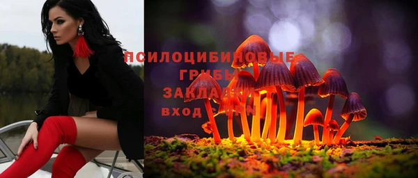 сатива Лихославль