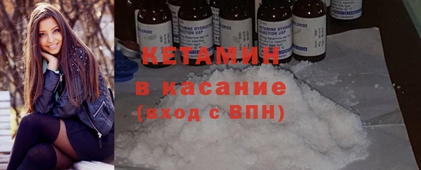 сатива Лихославль