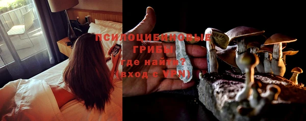 сатива Лихославль
