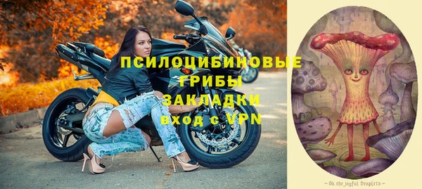 мдпв Липки