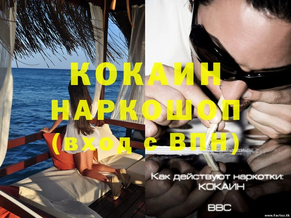 сатива Лихославль