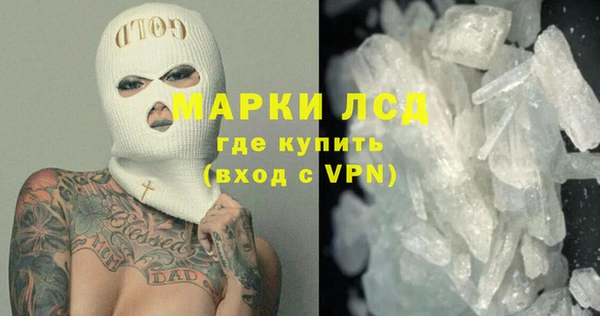прущие грибы Березники