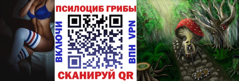 Галлюциногенные грибы Psilocybine cubensis Жуков